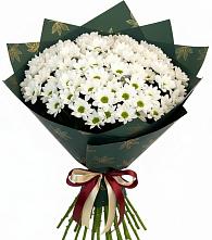 Букет цветов из:  Хризантемы #REPLACE_PRED# Долинске