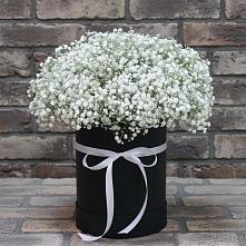 Цветочная композиция из Гипсофила в шляпной коробке в Долинске