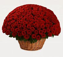 Премиум букет из: Розы #REPLACE_PRED# Долинске